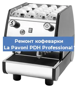 Чистка кофемашины La Pavoni PDH Professional от кофейных масел в Новосибирске